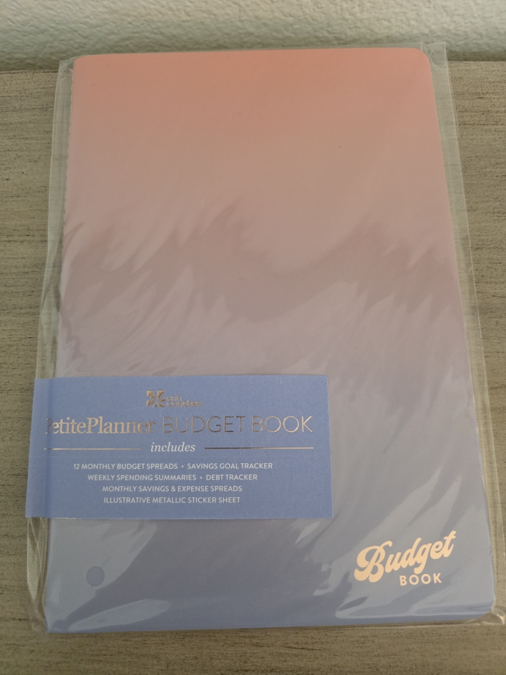 Budget Book Erin Condren Pink to Purple Ombre